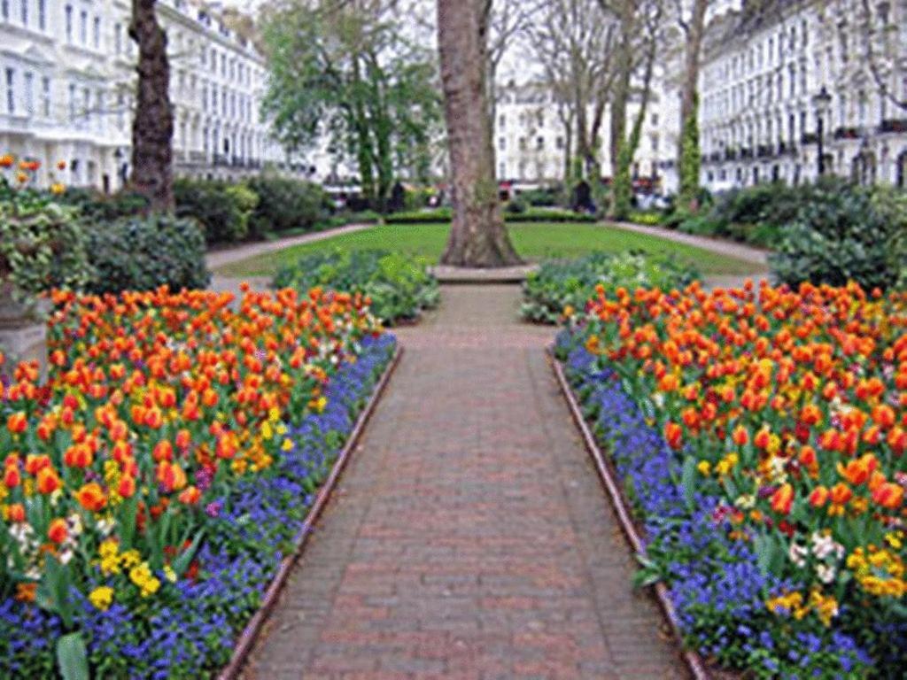 Photo - Tony's House Hotel