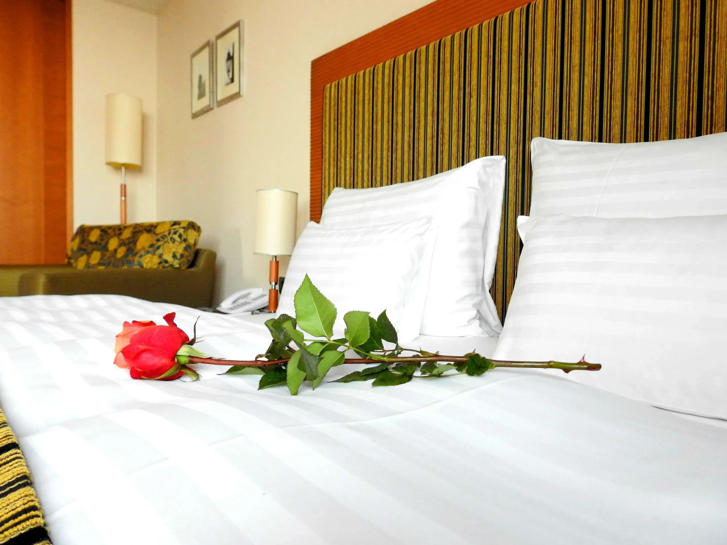 Photo - Hotel International by Maistra City Vibes