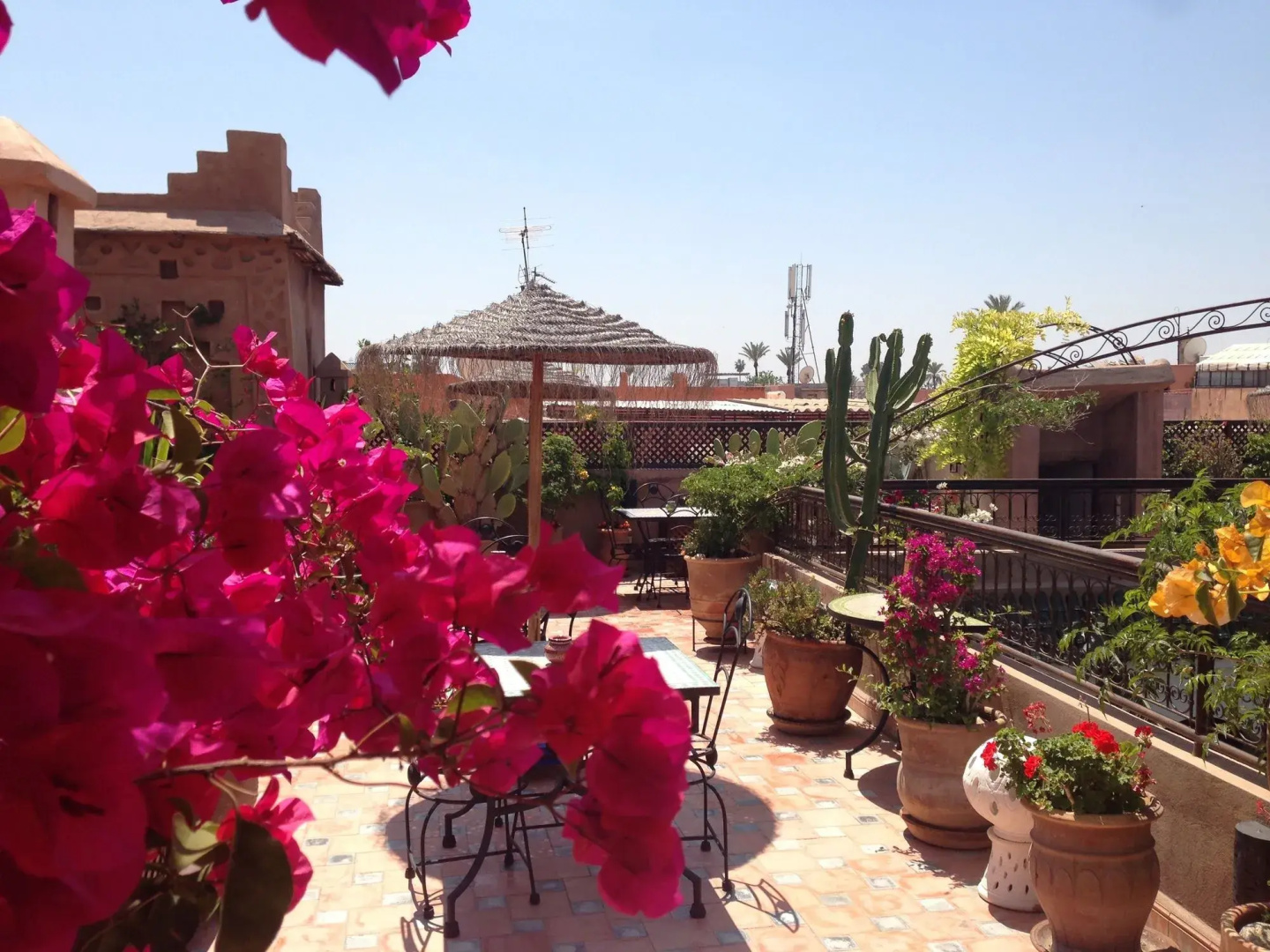 Foto - Riad Mehdia