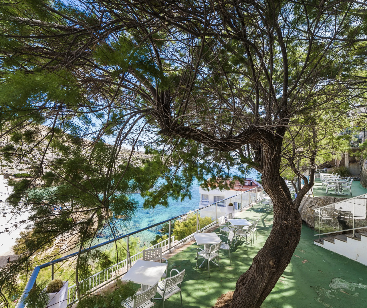 Foto - Globales Simar