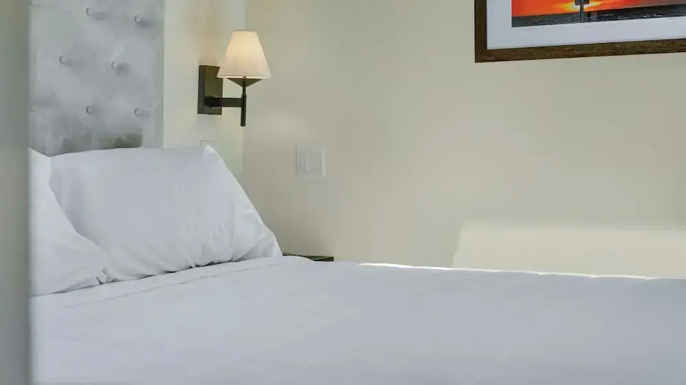 Foto - The Link Hotel South Beach