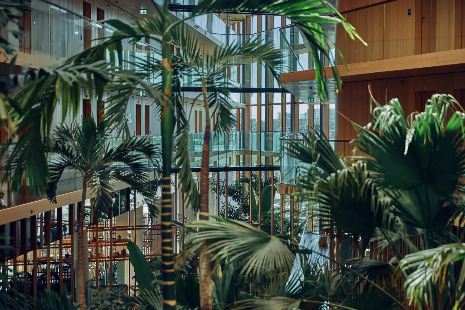 Foto - Hotel Jakarta Amsterdam