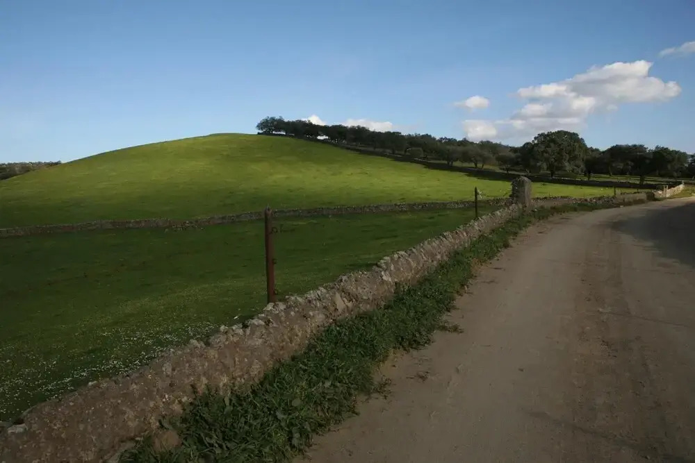 Foto - La Posada Del Infante