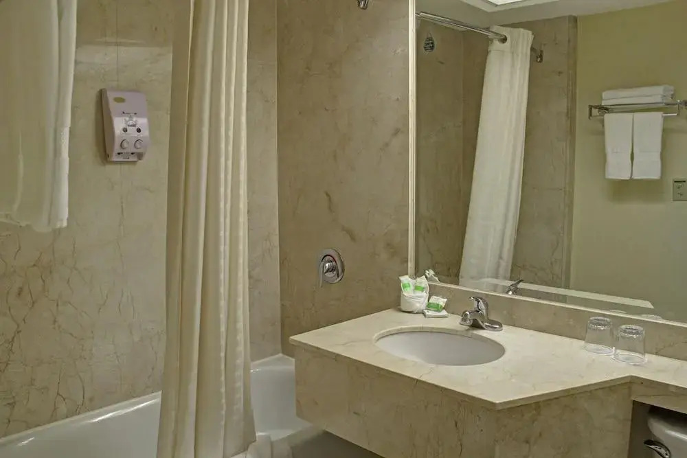 Foto - Holiday Inn San Jose La Sabana by IHG