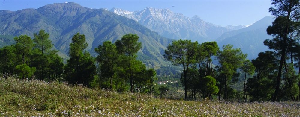 Club Mahindra Kangra Valley