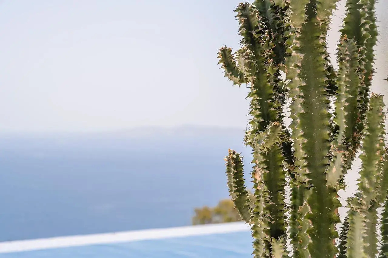 Foto - Villa Olivia Mykonos