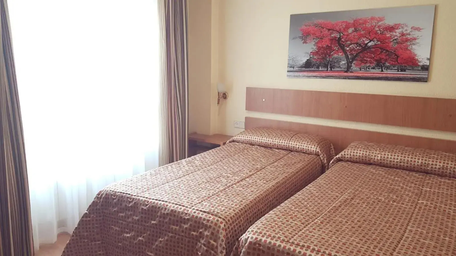 Photo - Hotel Castilla