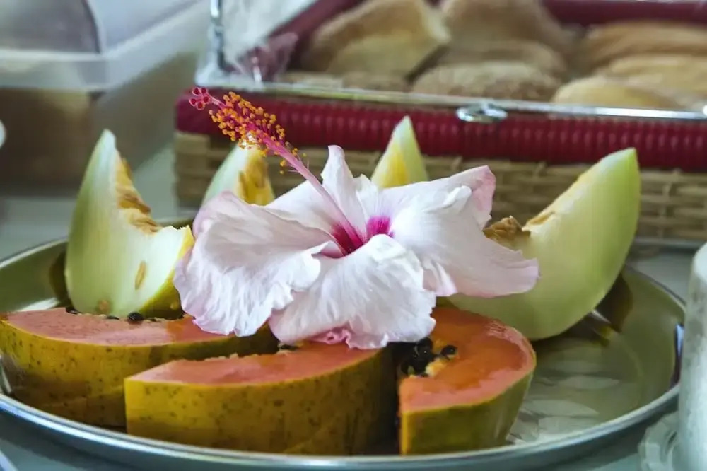 Foto - Pousada Blue Ocean