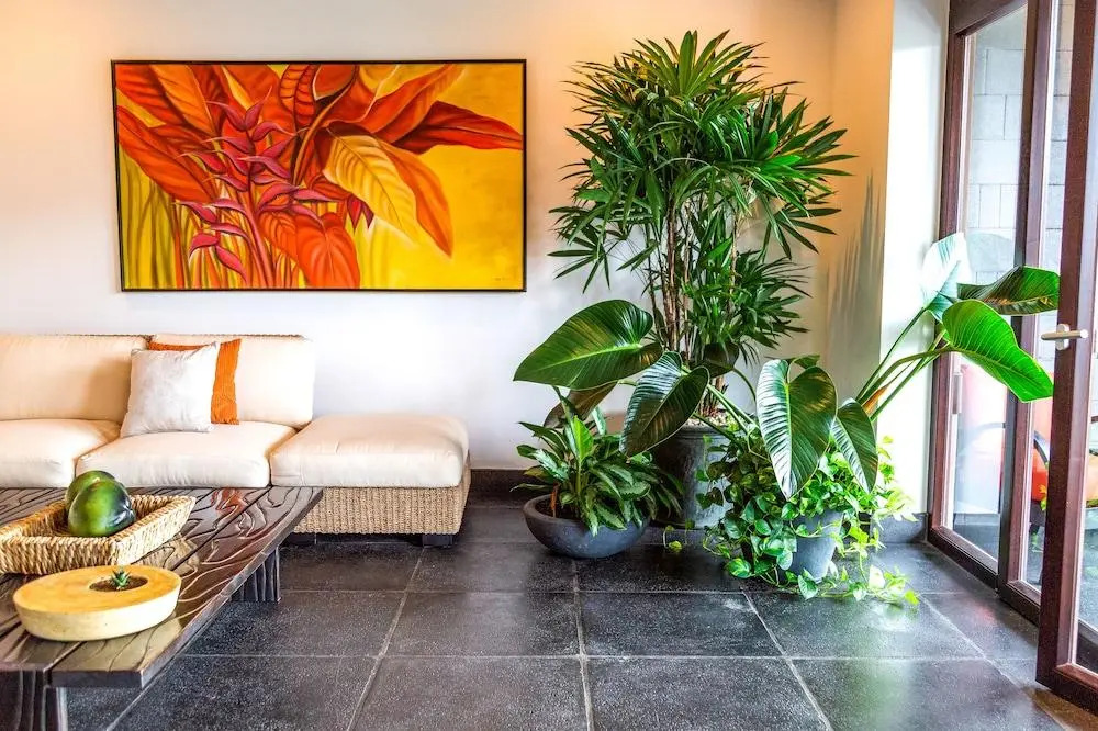 Photo - Los Altos Resort