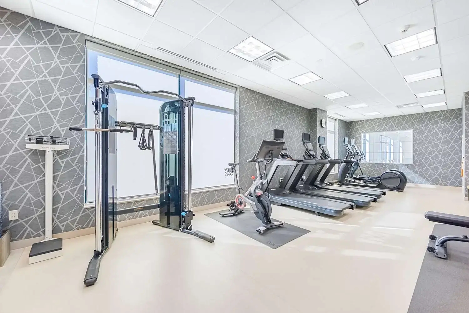 Foto - Homewood Suites by Hilton East Rutherford - Meadowlands, NJ