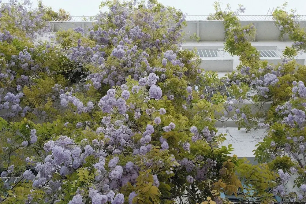 Foto - Rooms Hotel Batumi