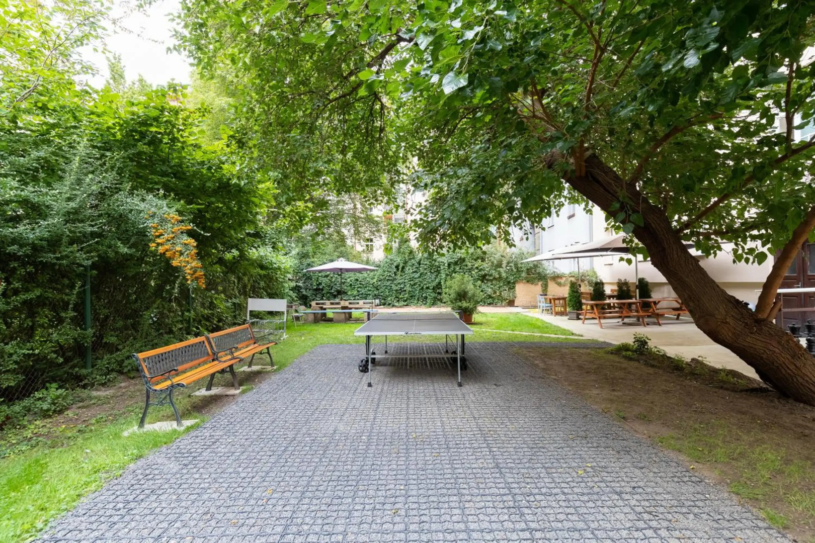 Foto - Hostel Dakura