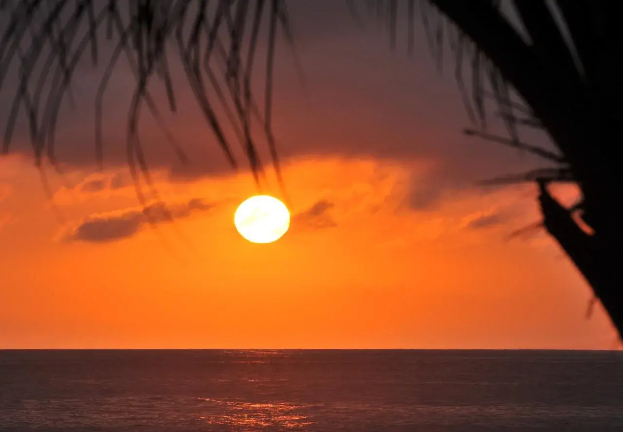 Photo - Puri Dajuma Beach Eco-Resort & Spa