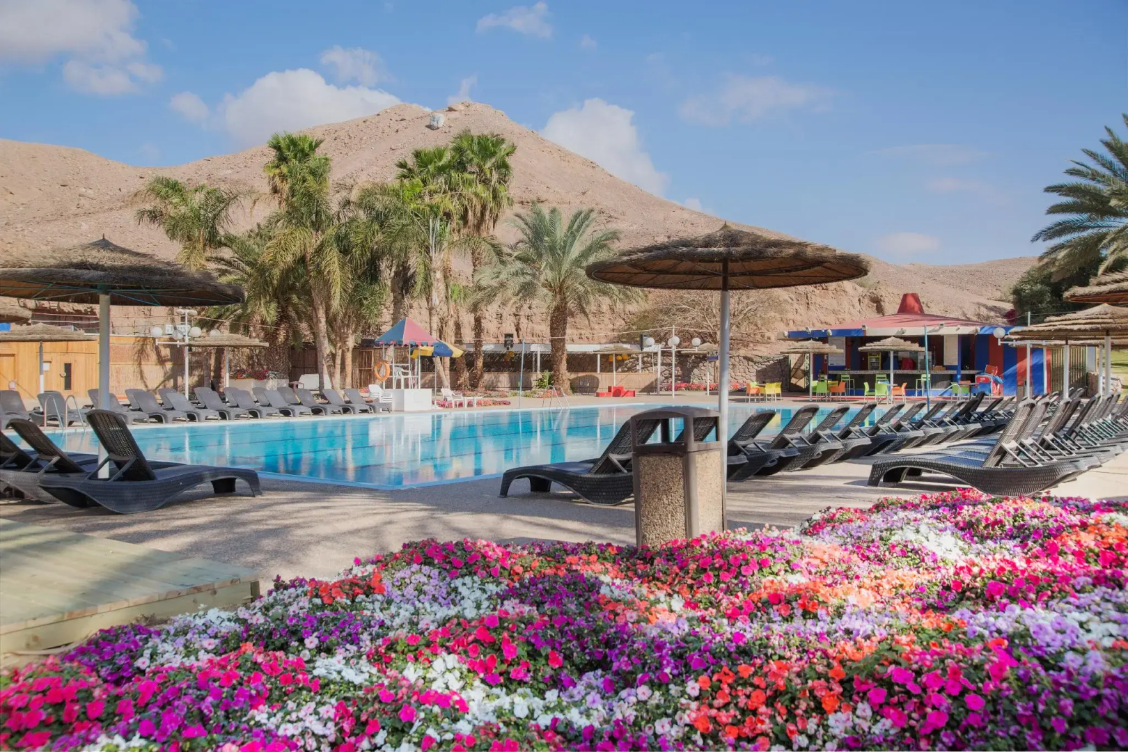 Photo - Prima Music Eilat
