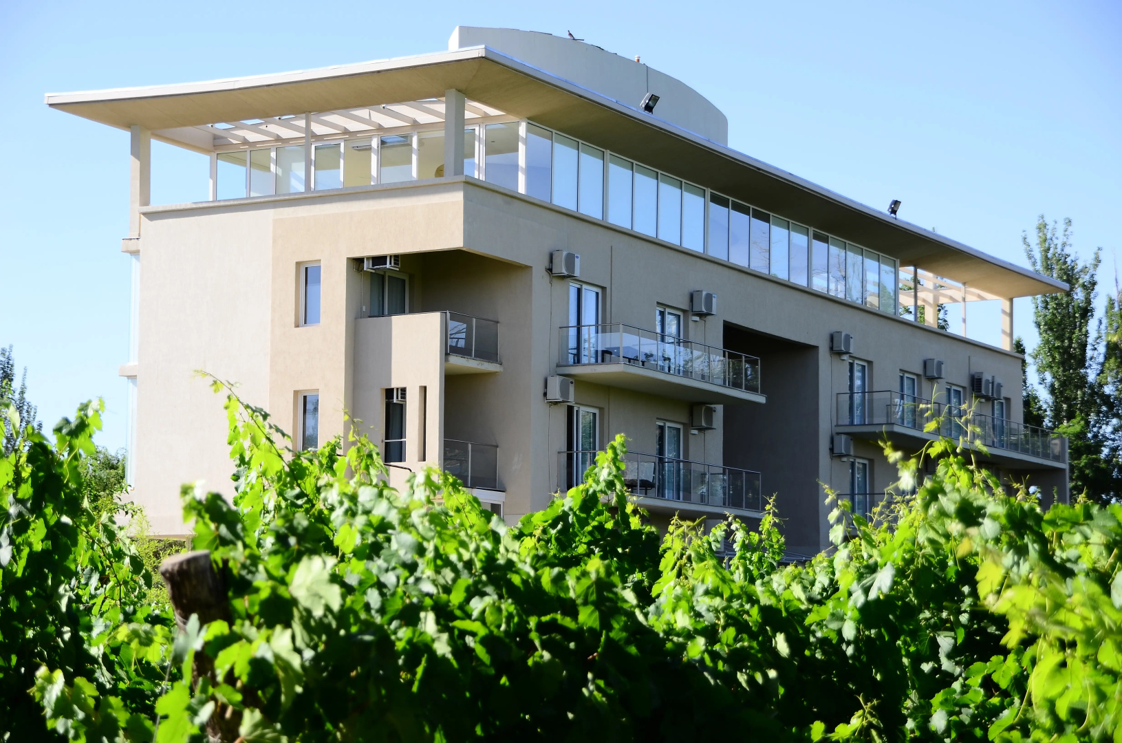 Photo - Hotel Finca Hermitage