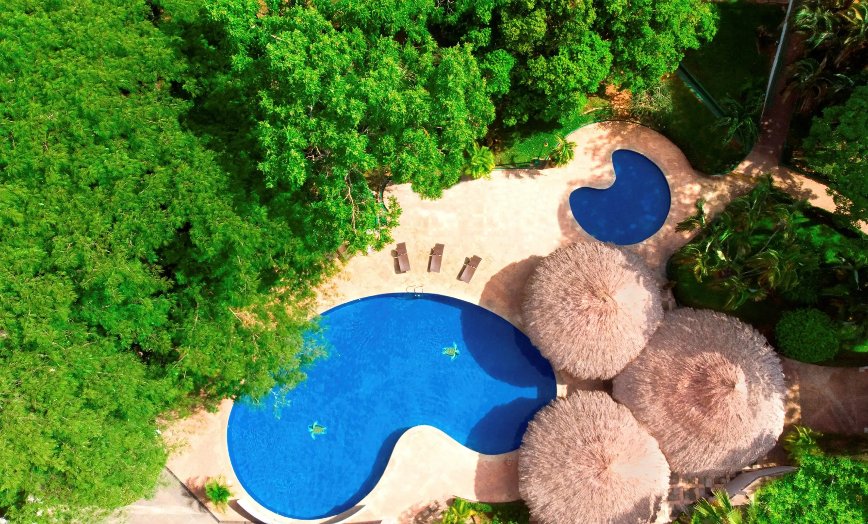 Foto - Hyatt Regency Villahermosa