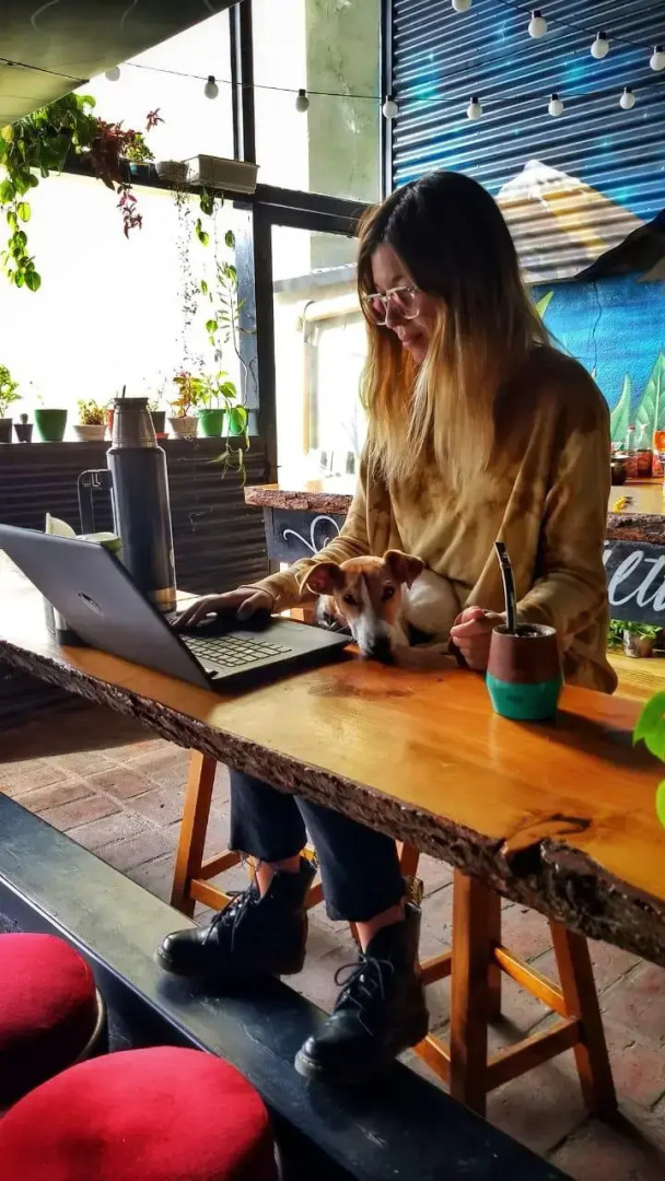 Foto - Moving Hostel Travel Bar