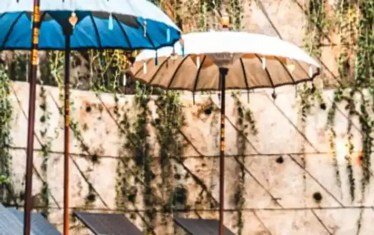 Foto - The Jungle Villa