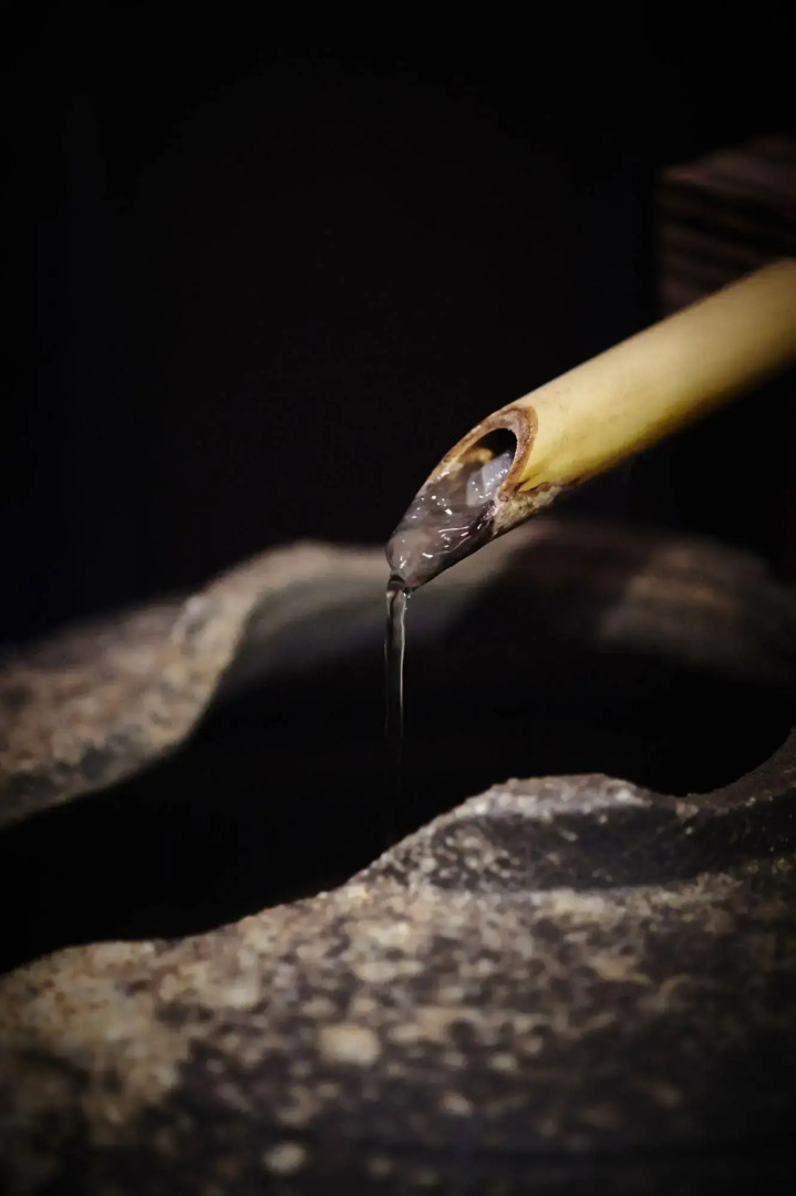 Foto - Ryokan Asakusa Shigetsu