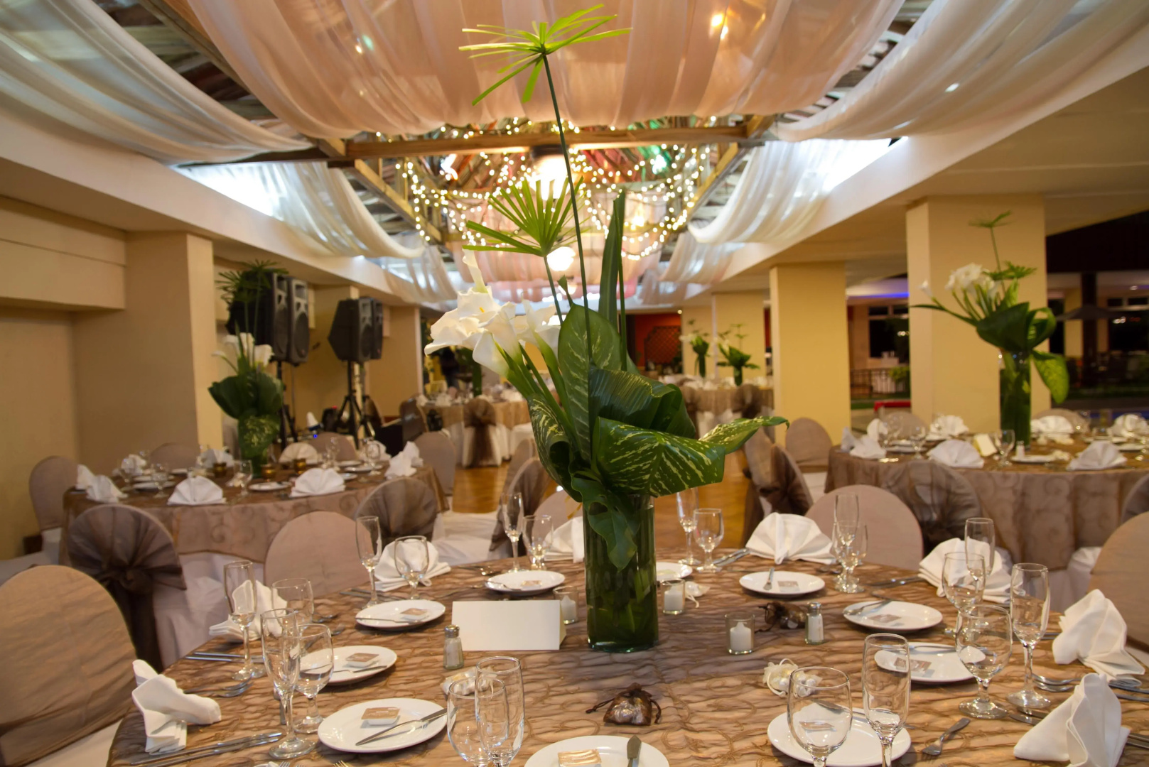 Photo - Best Western Plus Hotel Terraza