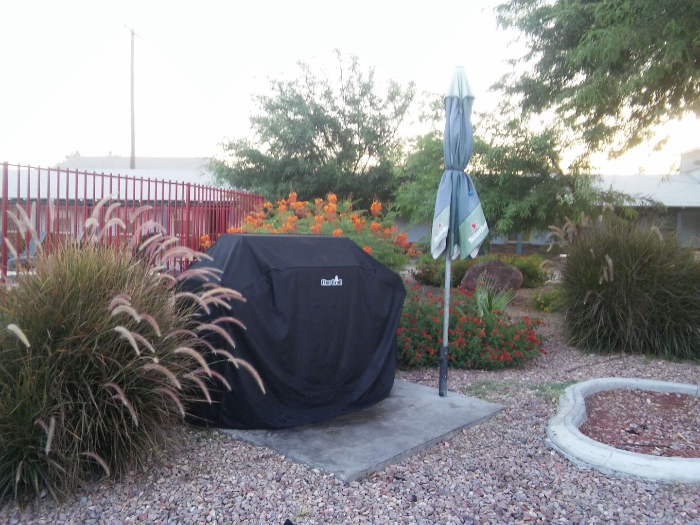 Foto - Sterling Gardens