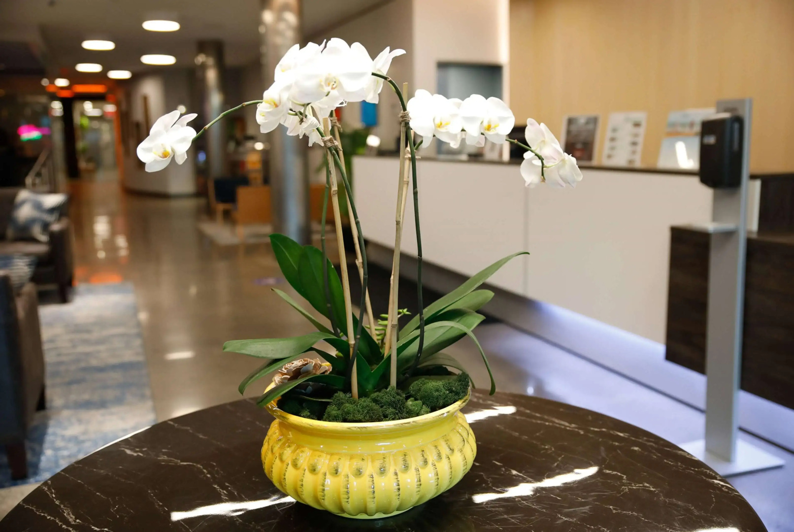 Foto - Wingate by Wyndham Bronx Haven Park