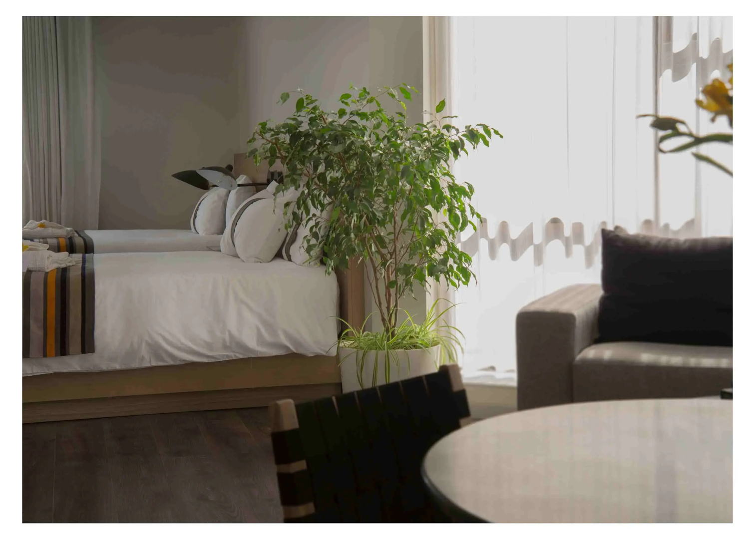 Photo - Casa Grande Suites