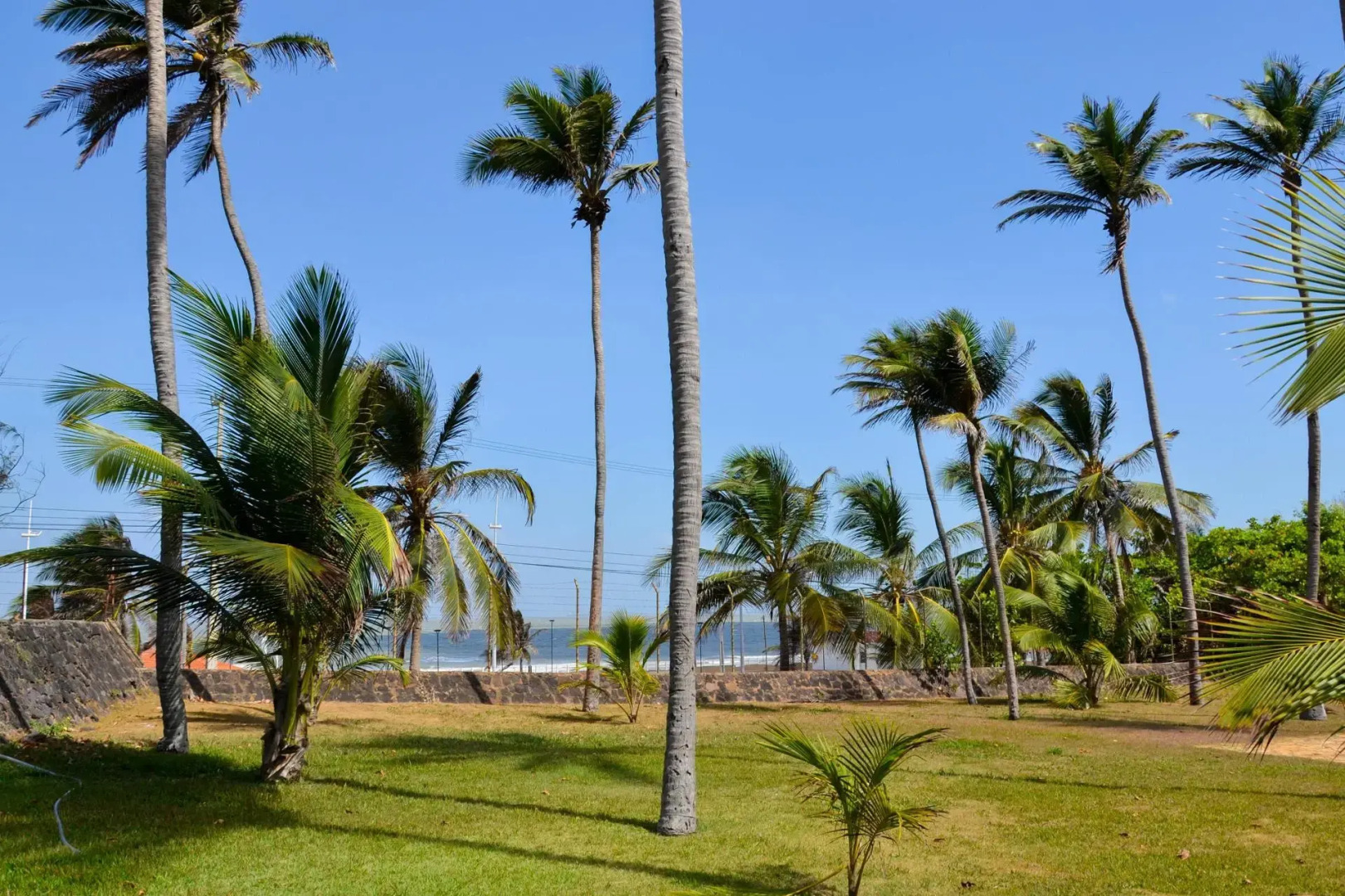 Photo - Blue Tree Premium São Luis