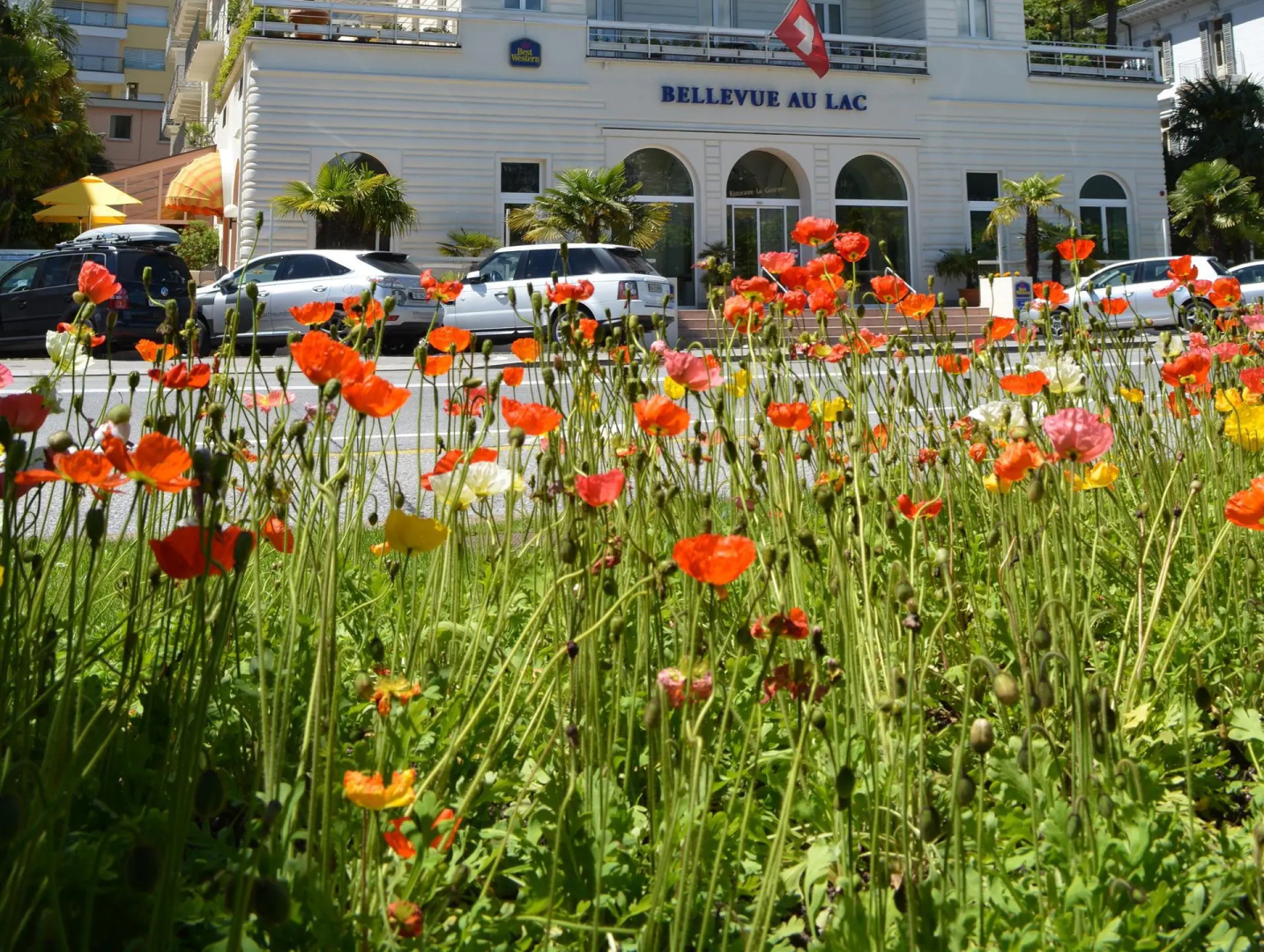 Photo - Best Western Hotel Bellevue Au Lac