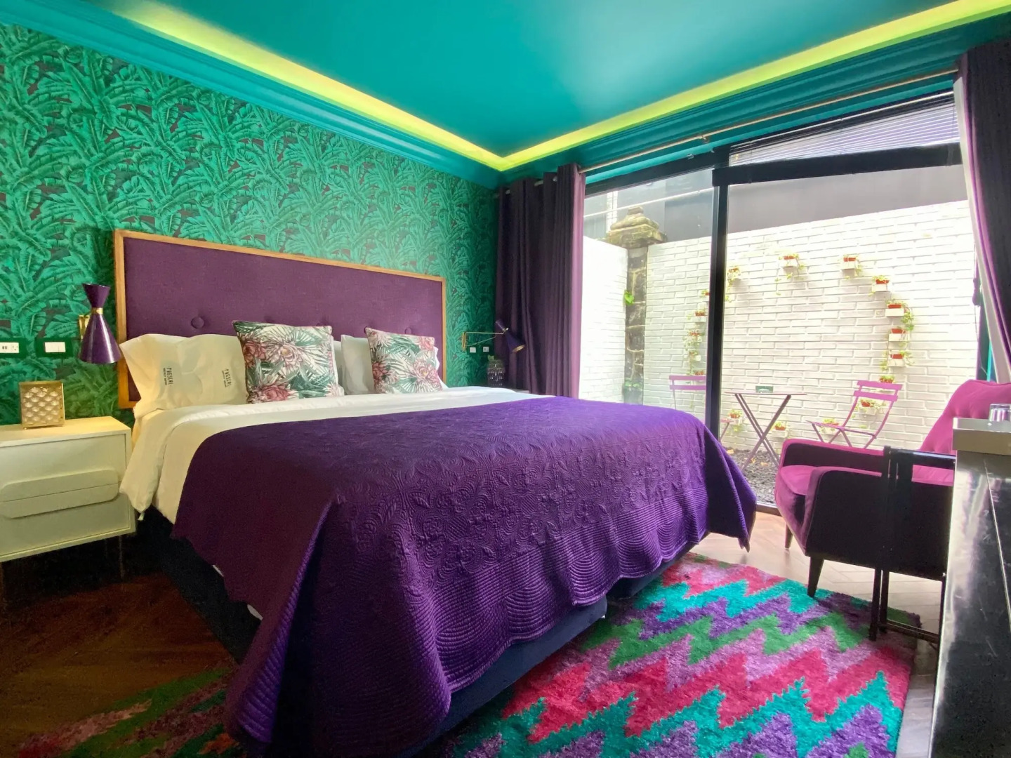 Photo - Pug Seal Polanco Anatole France