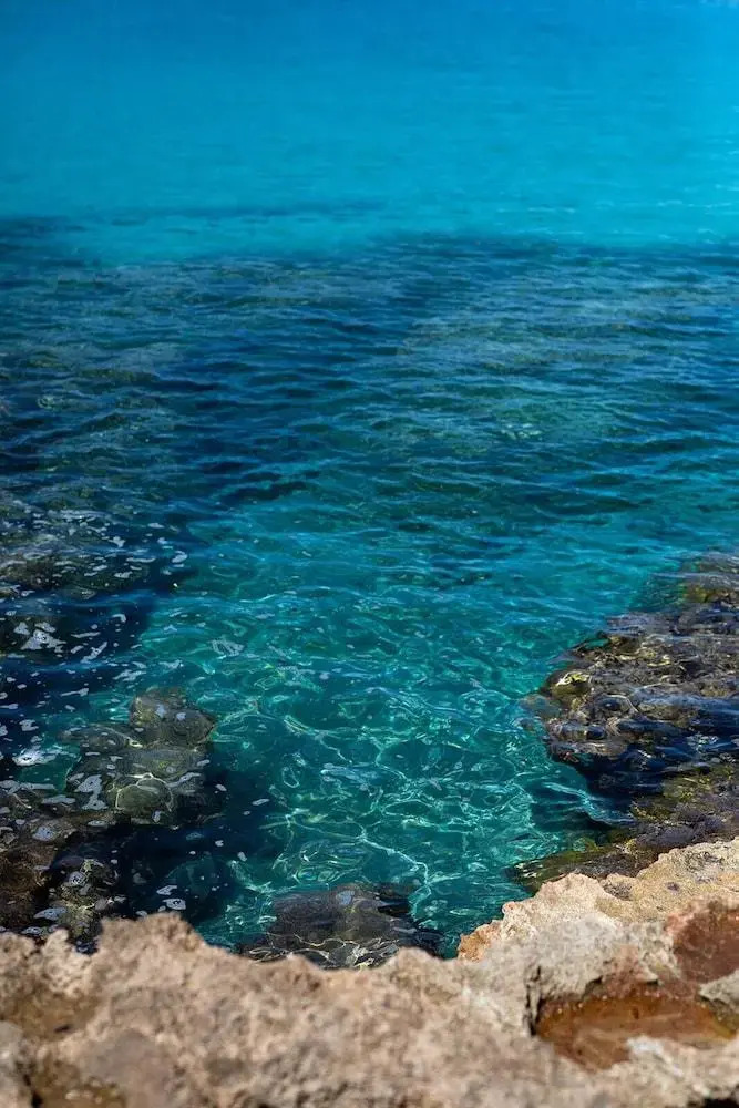 Foto - Hostal La Cigüeña