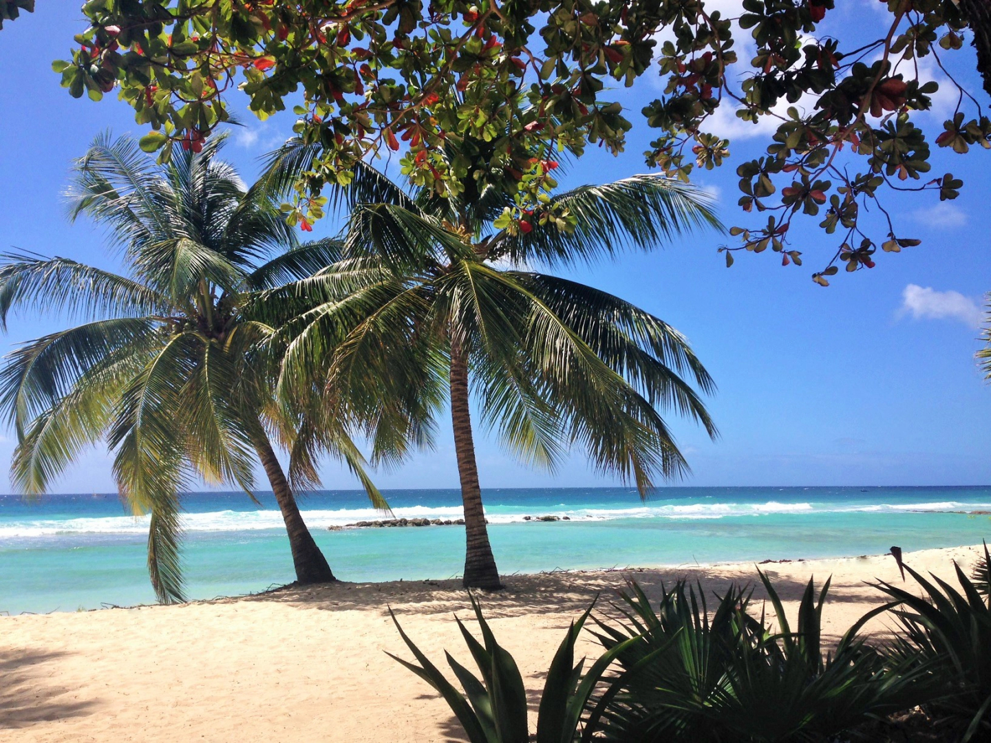 Foto - Sugar Bay Barbados - All Inclusive