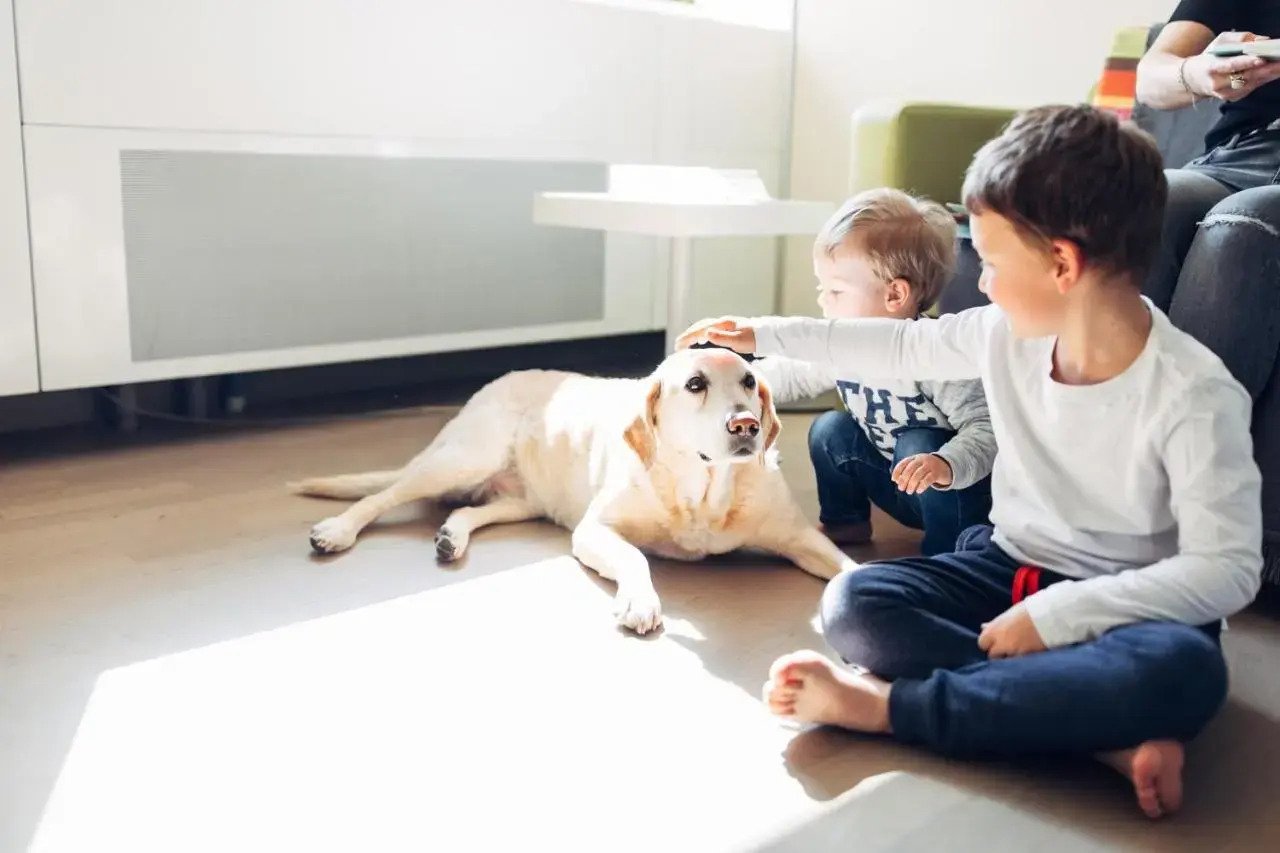 Foto - harry's home Wien hotel & apartments