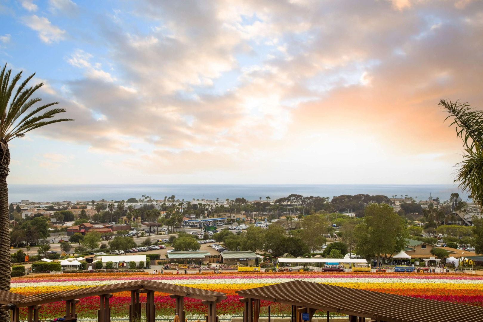 Foto - Grand Pacific Palisades Resort