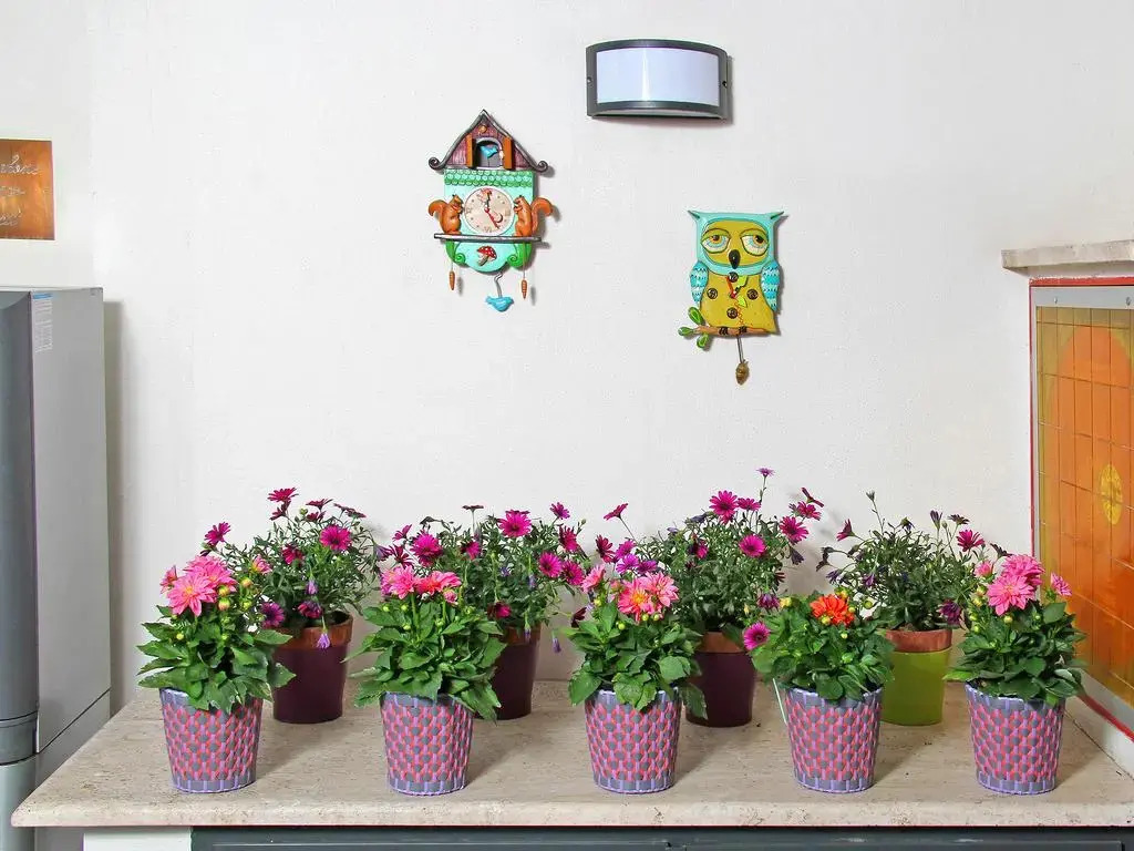 Photo - Hotel Arcangelo