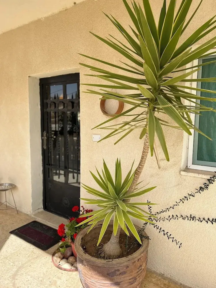 Photo - B&B petrafarmhouse