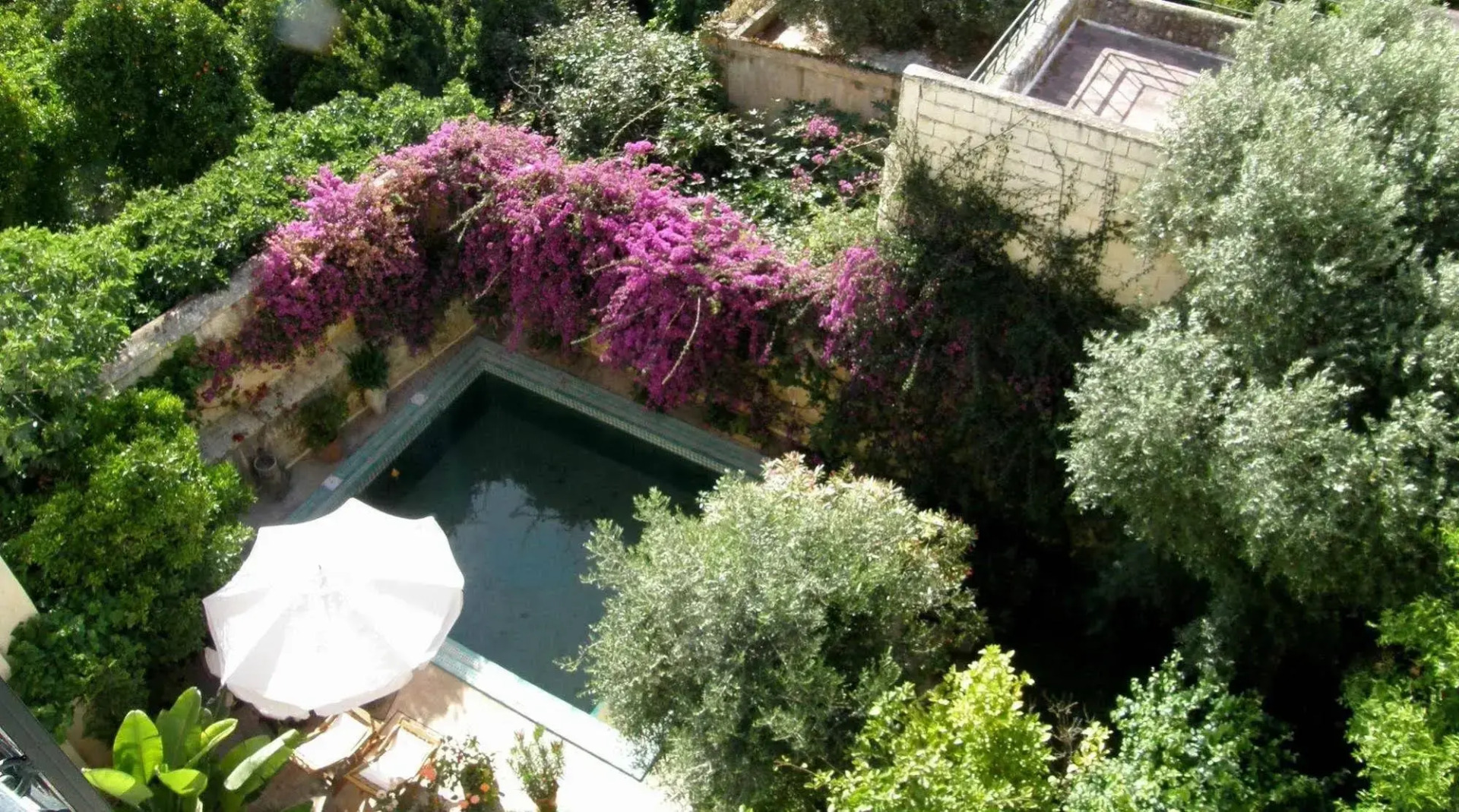 Foto - Ryad Mabrouka