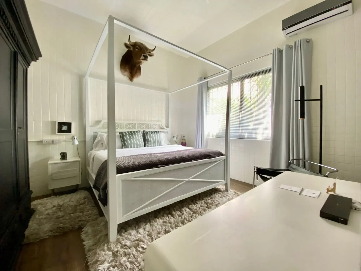 Photo - Pug Seal Polanco Anatole France
