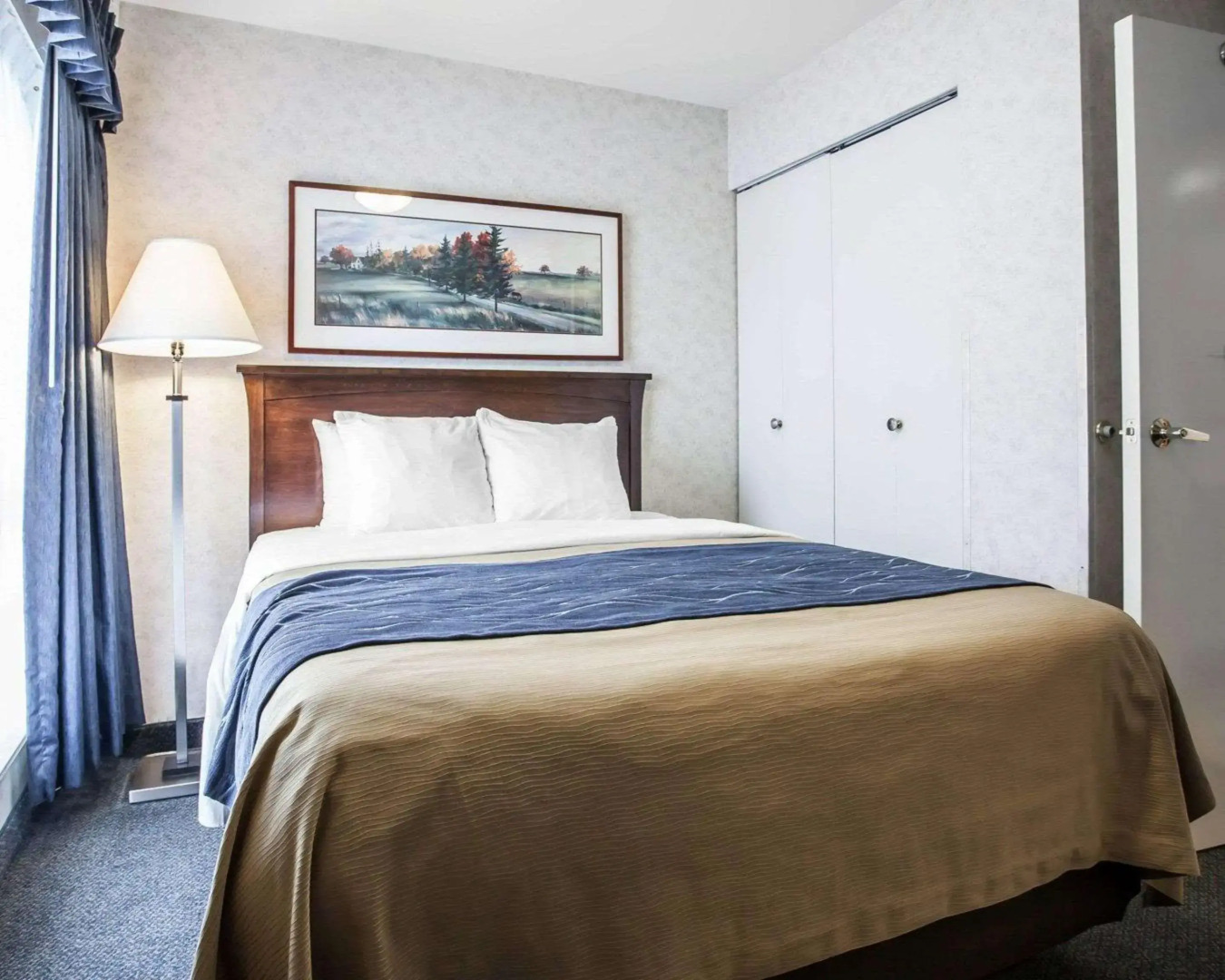 Foto - Comfort Inn Bellingham