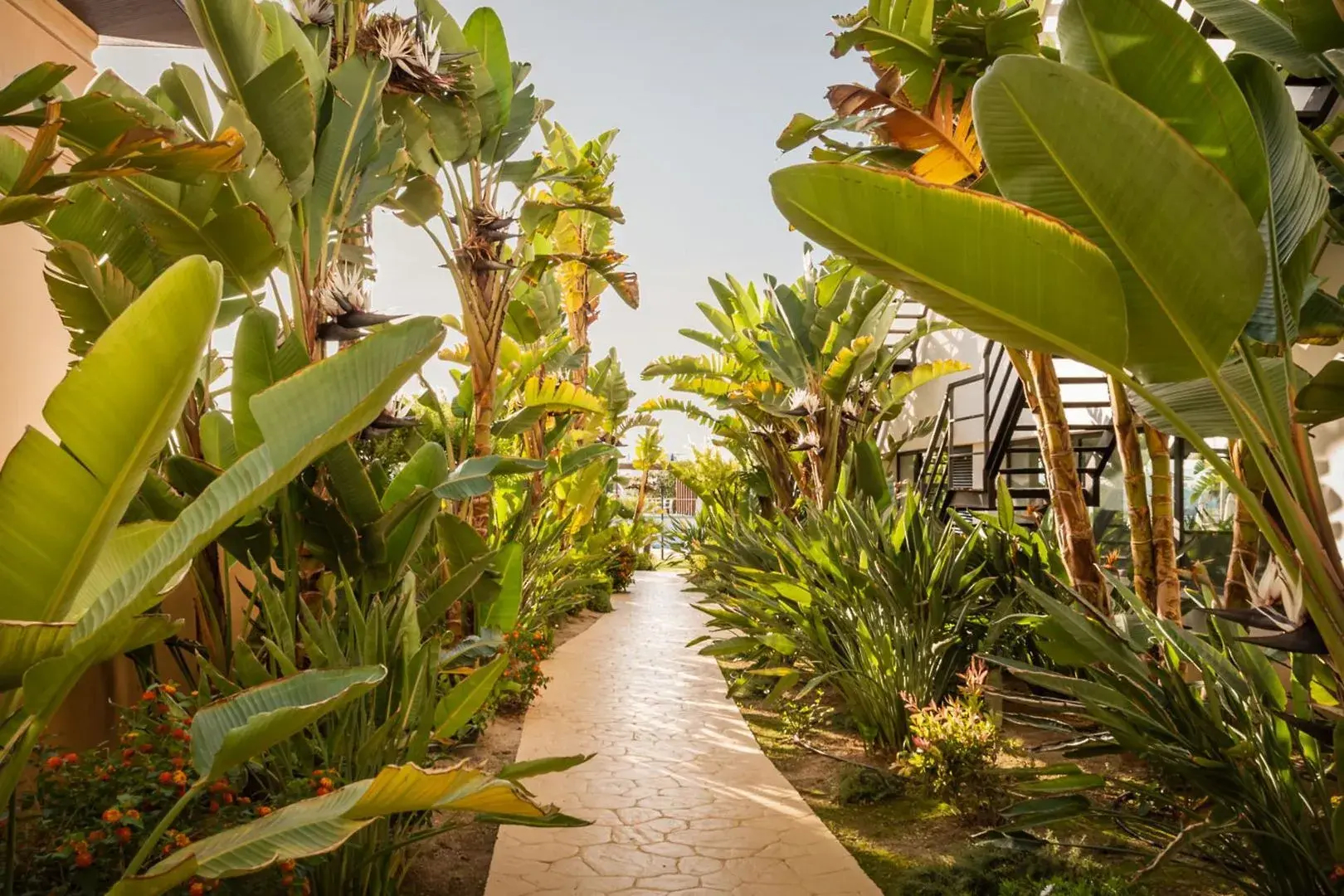 Foto - The Place Palacio Mojacar & Spa by ALEGRIA Adults Only