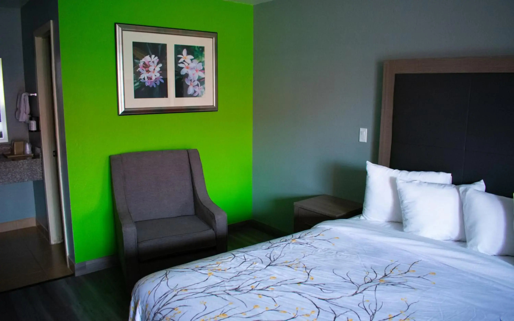 Foto - Econo Lodge Wesley Chapel I-75