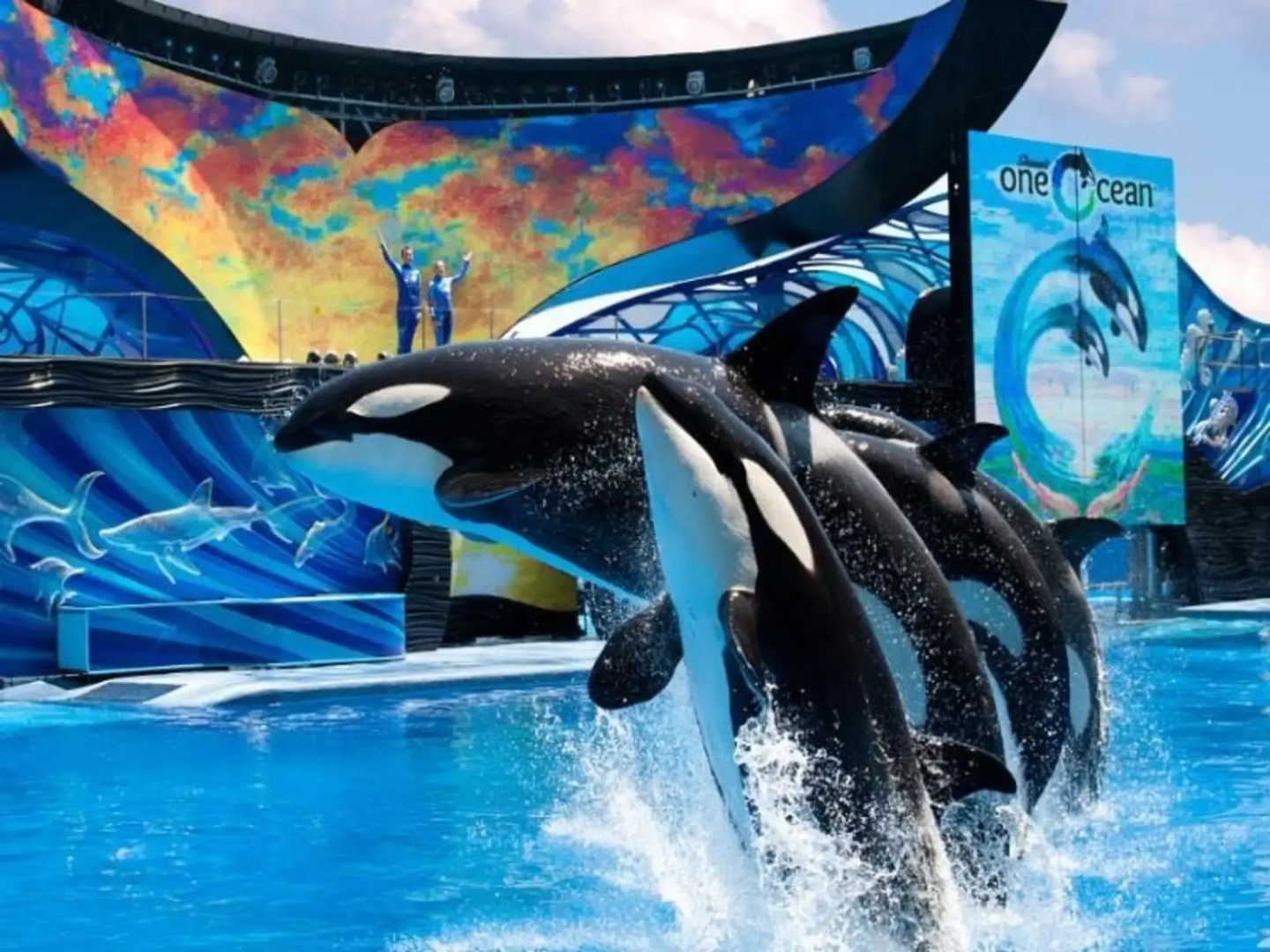 Foto - Fairfield by Marriott Inn & Suites Orlando at SeaWorld