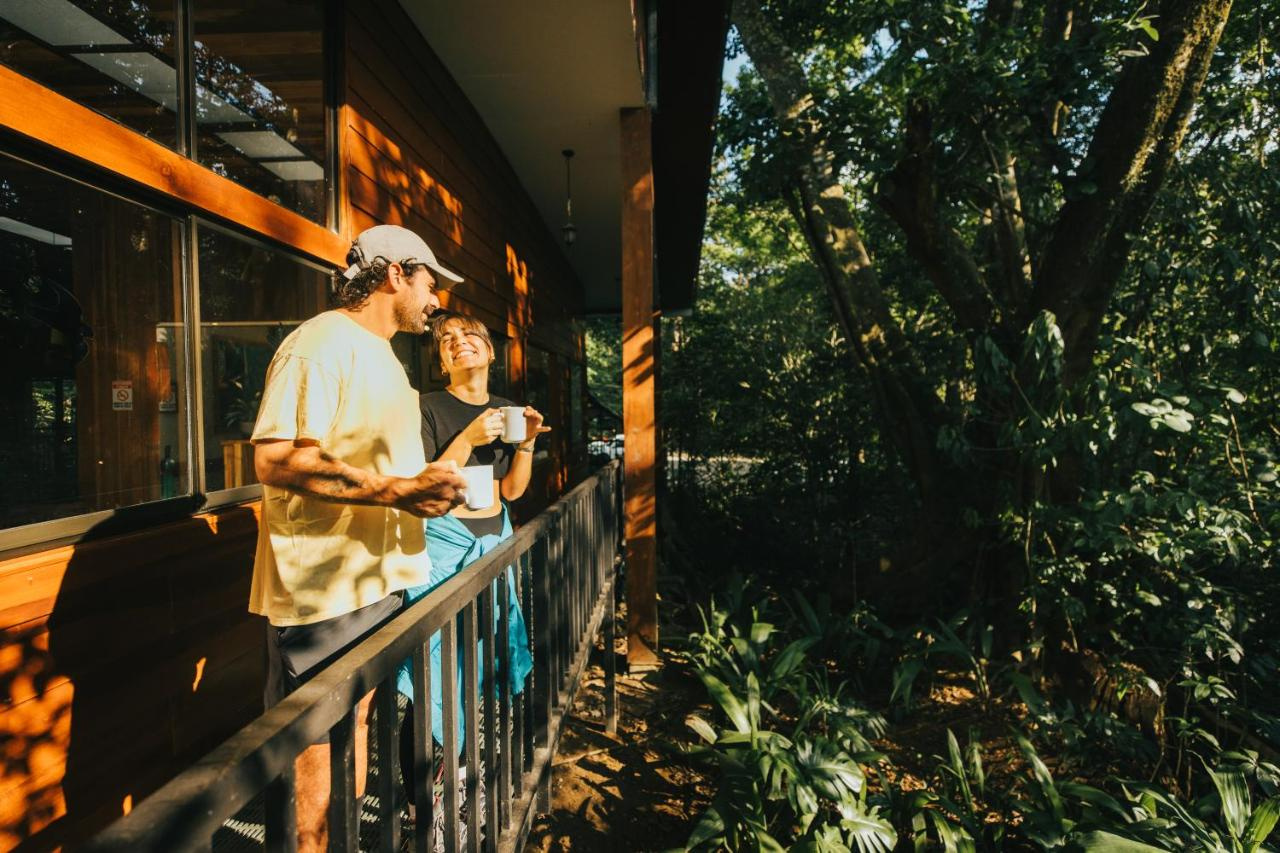 Foto - Jaguarundi Lodge