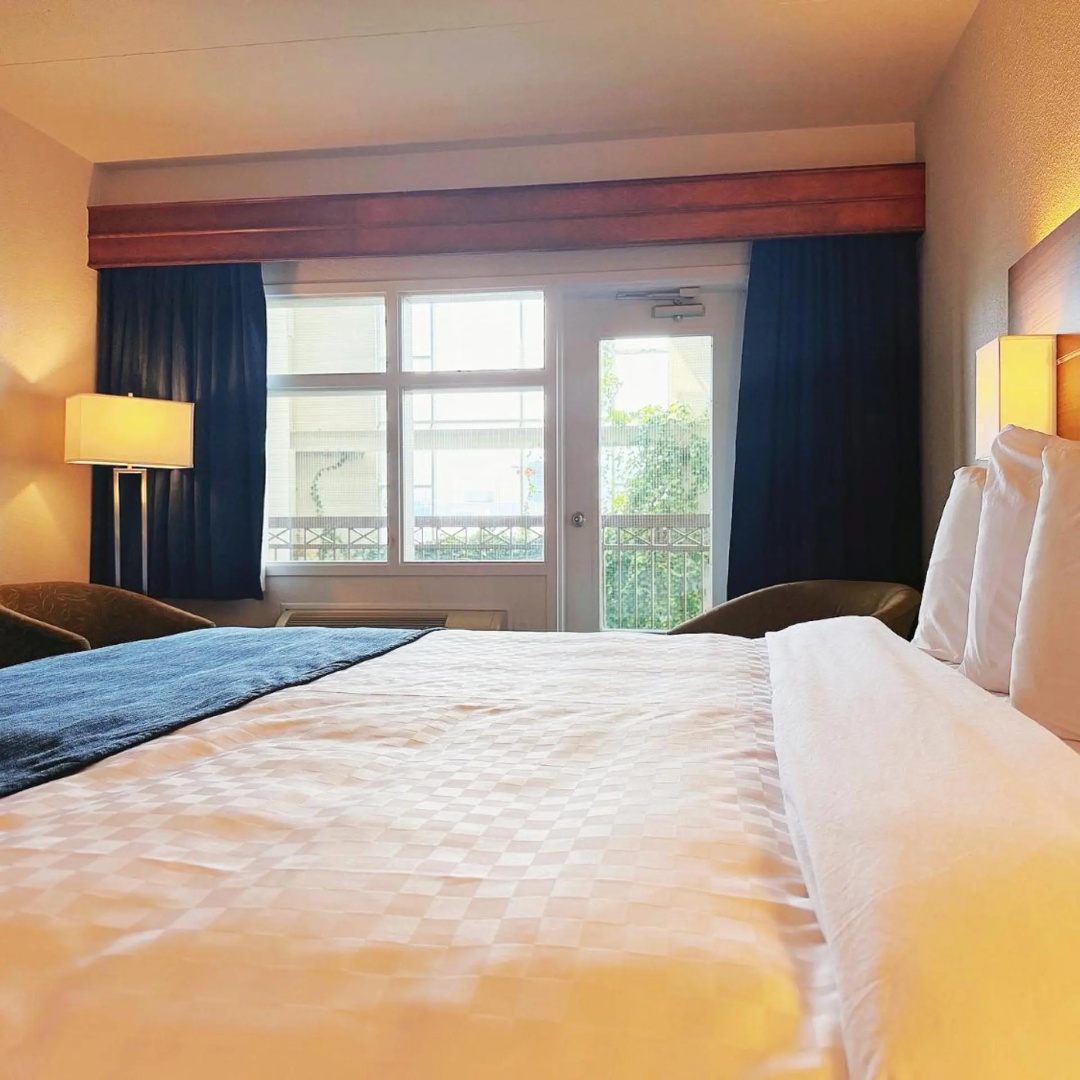 Foto - Hotel L'Oie des neiges