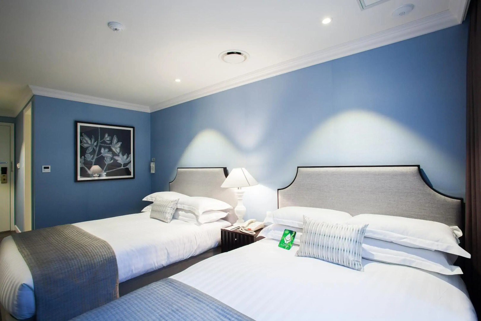 Foto - K9 Myeongdong Hotel