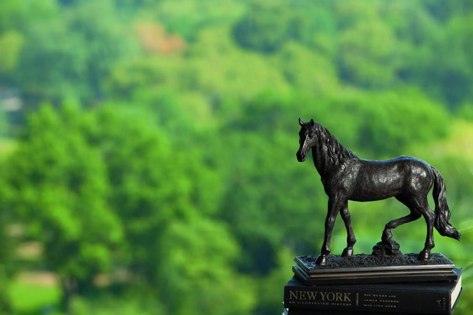 Foto - The Ritz-Carlton New York, Central Park