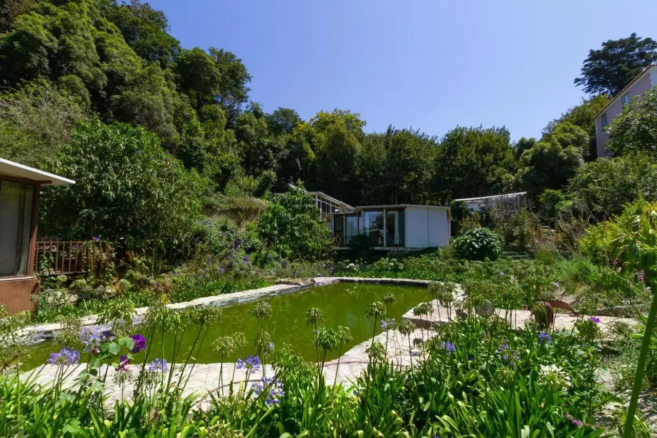 Photo - Quinta Das Murtas B&B
