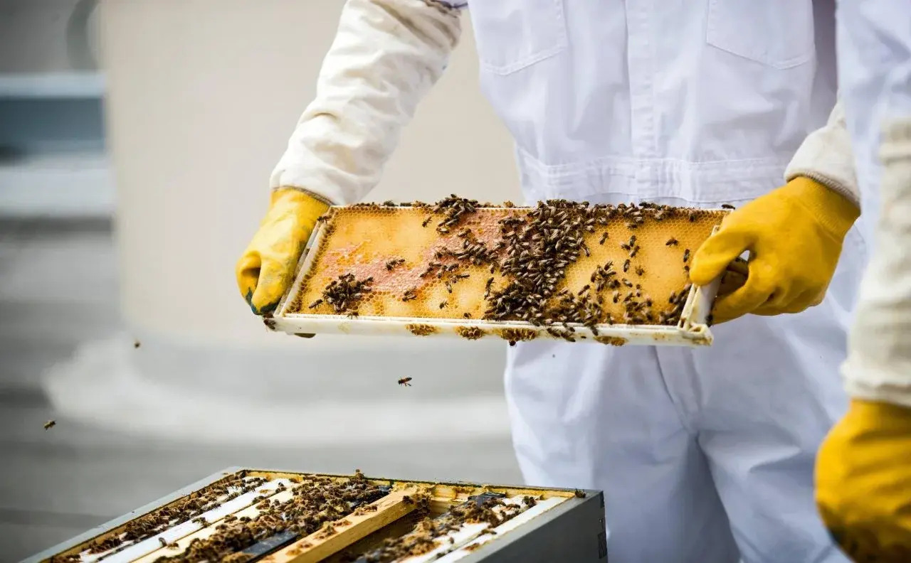 Foto - Chicago Marriott Downtown Magnificent Mile