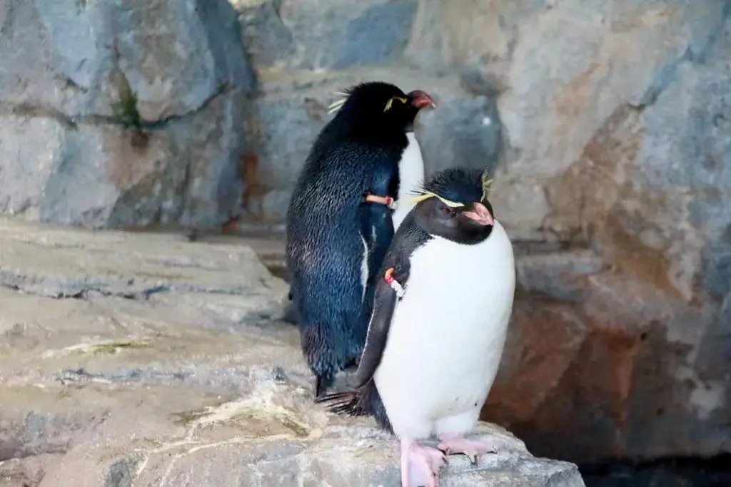 Photo - KOKO HOTEL Higashiosaka - formerly Hotel Wing International Select Higashi Osaka