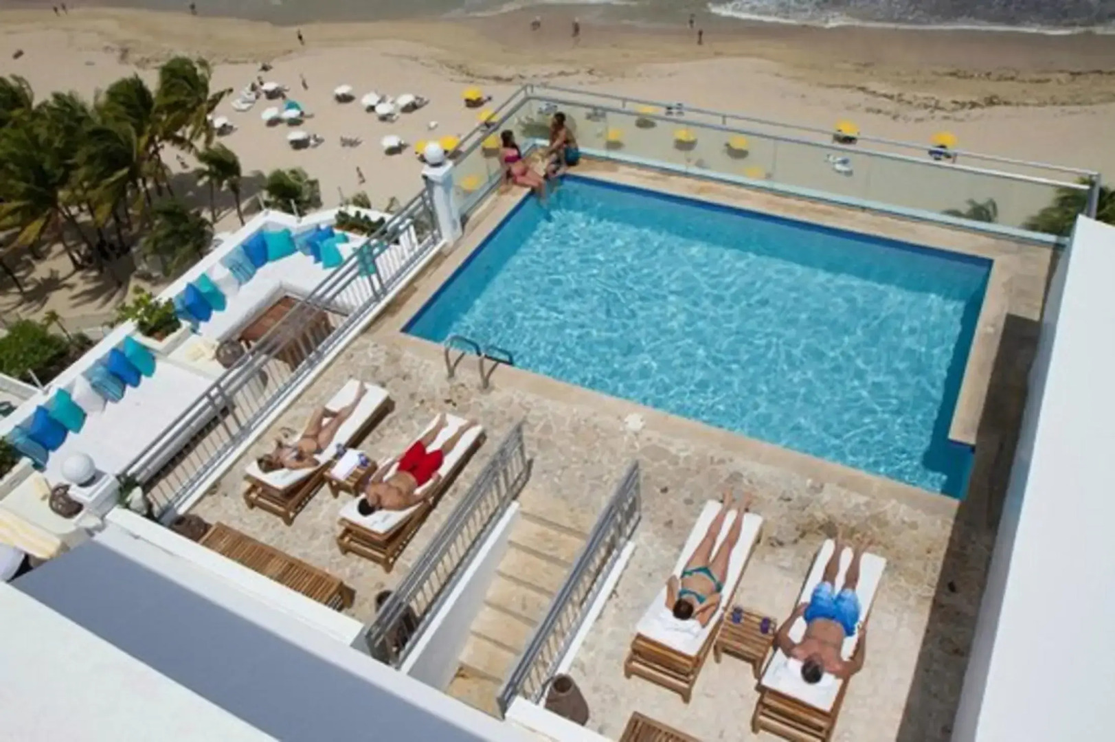 Foto - Aire de Olive